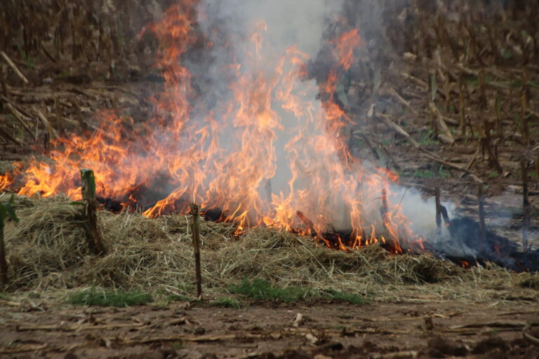 Mehr über den Artikel erfahren Großübung am Felsländl